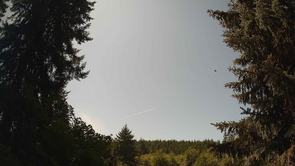Pacific Northwest skyline timelapse frame from Aug 9th, 2026 at 1:30 PM