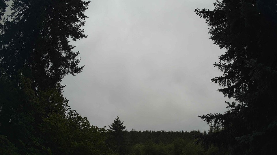 Pacific Northwest skyline timelapse frame from Aug 10th, 2026 at 8:30 AM