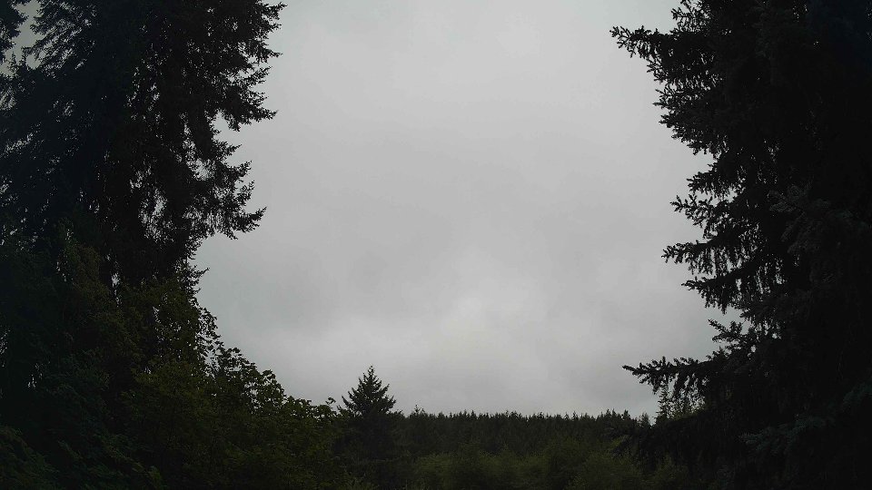Pacific Northwest skyline timelapse frame from Aug 10th, 2026 at 8:45 AM