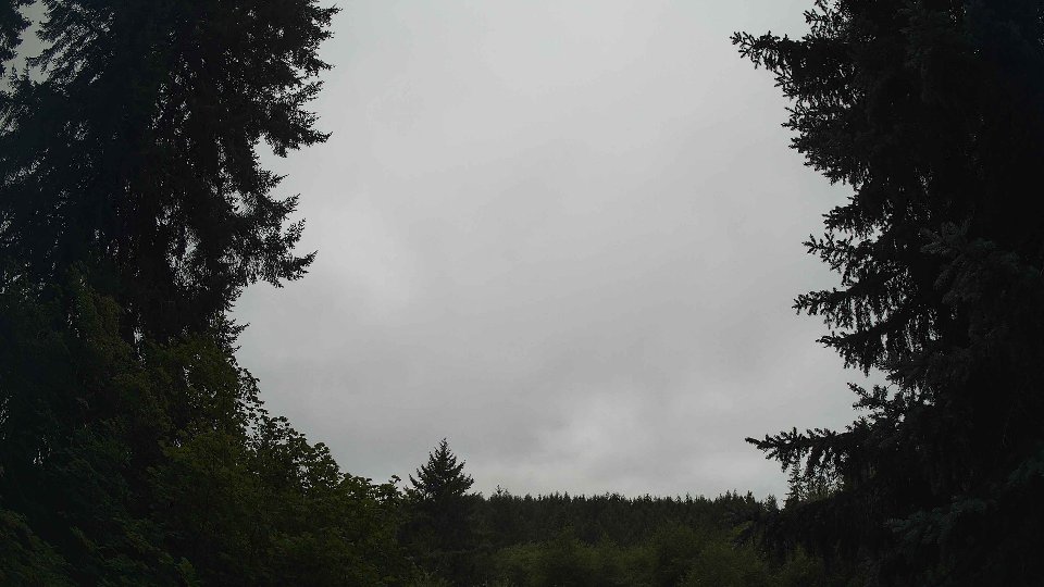 Pacific Northwest skyline timelapse frame from Aug 10th, 2026 at 10:00 AM