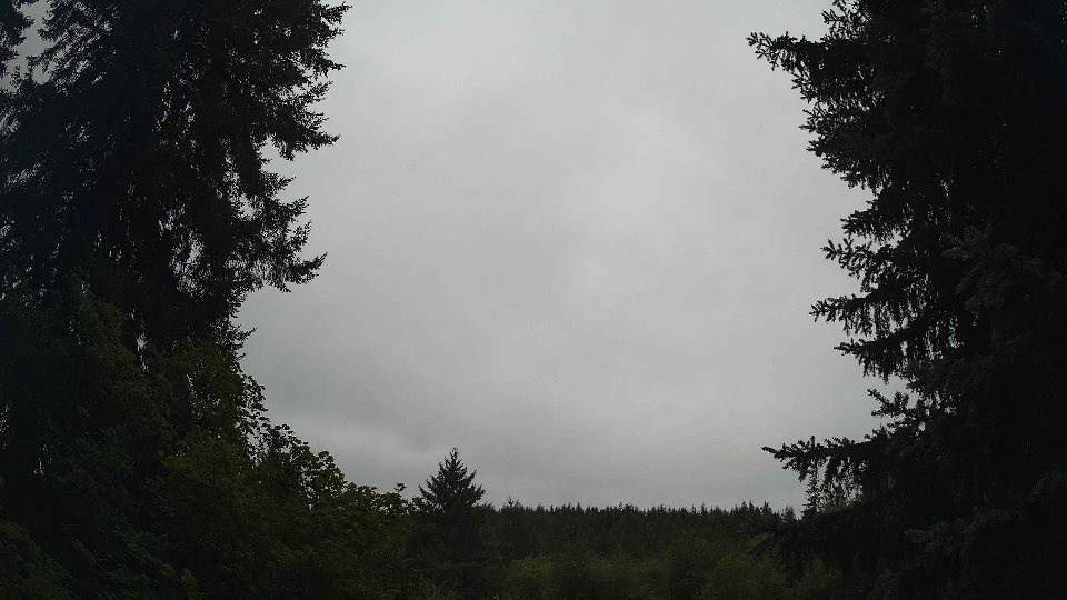 Pacific Northwest skyline timelapse frame from Aug 10th, 2026 at 11:15 AM