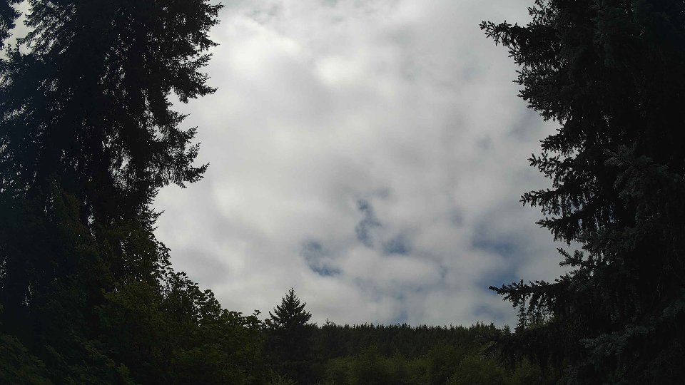 Pacific Northwest skyline timelapse frame from Aug 10th, 2026 at 12:30 PM