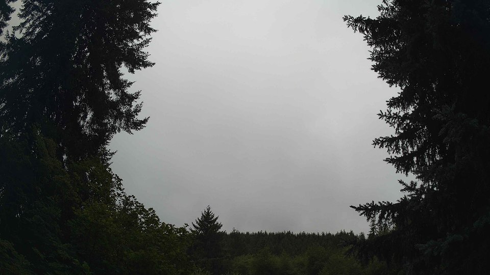 Pacific Northwest skyline timelapse frame from Aug 11th, 2026 at 8:30 AM