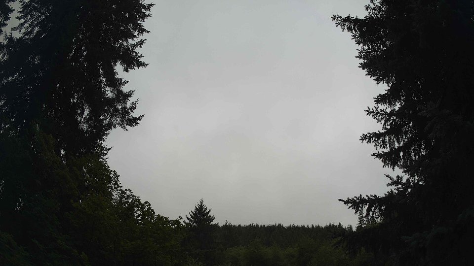 Pacific Northwest skyline timelapse frame from Aug 11th, 2026 at 8:45 AM