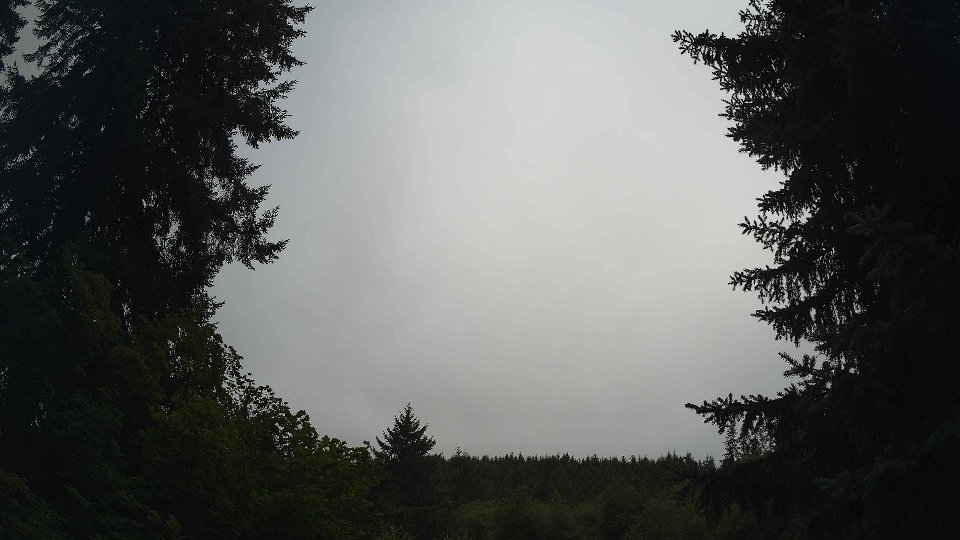 Pacific Northwest skyline timelapse frame from Aug 11th, 2026 at 9:00 AM