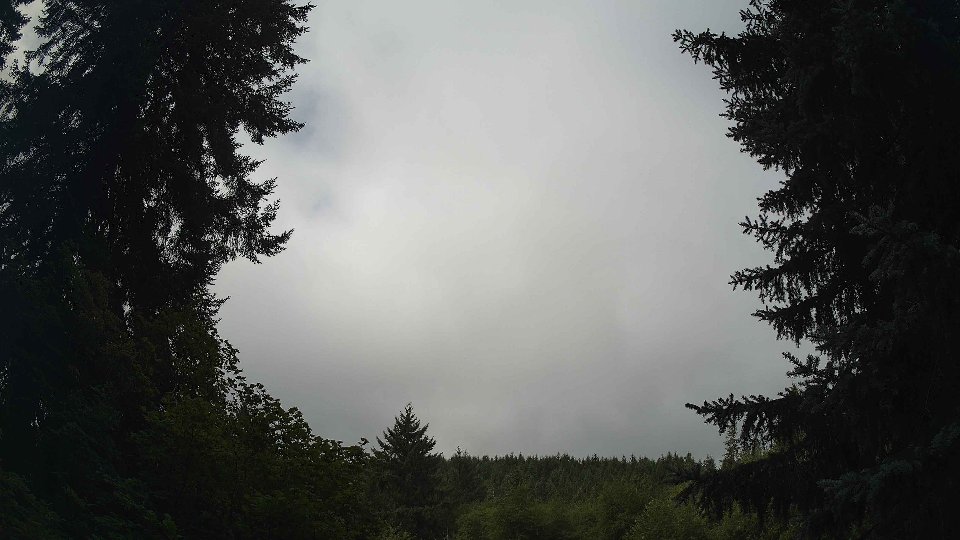 Pacific Northwest skyline timelapse frame from Aug 11th, 2026 at 10:00 AM
