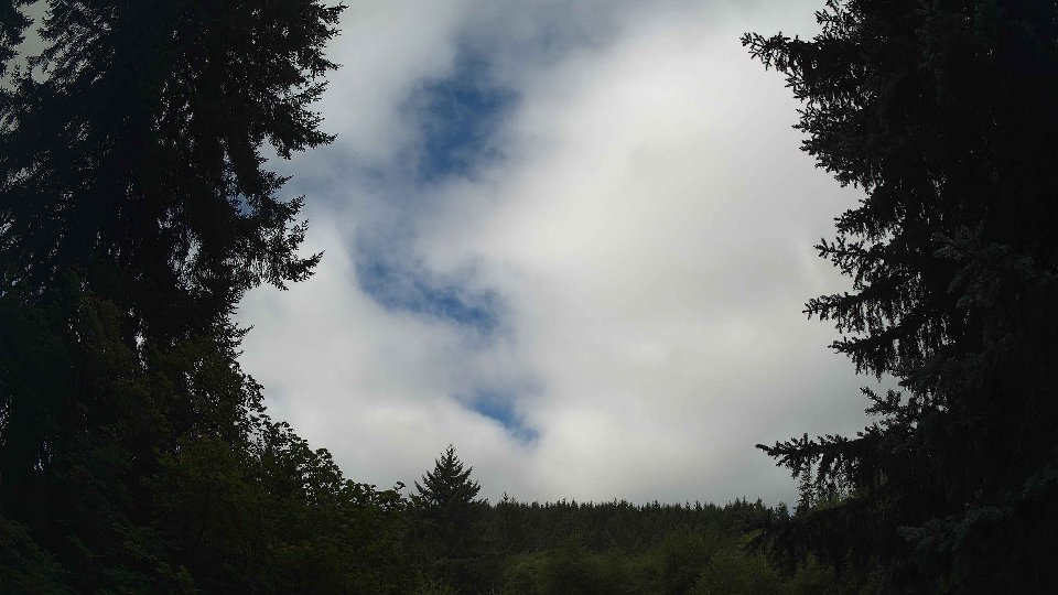Pacific Northwest skyline timelapse frame from Aug 11th, 2026 at 10:15 AM