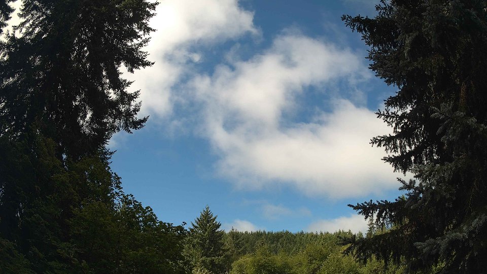 Pacific Northwest skyline timelapse frame from Aug 11th, 2026 at 10:30 AM