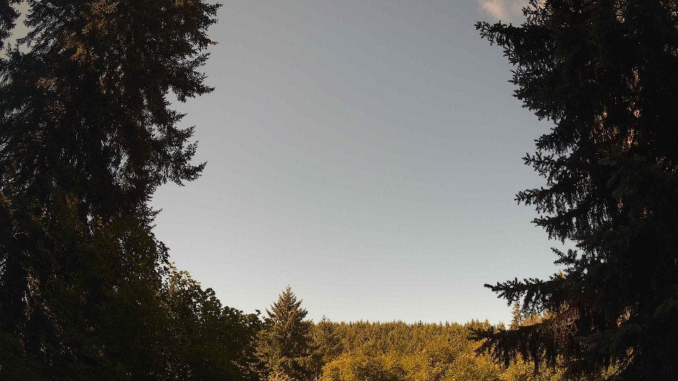 Pacific Northwest skyline timelapse frame from Aug 11th, 2026 at 11:00 AM