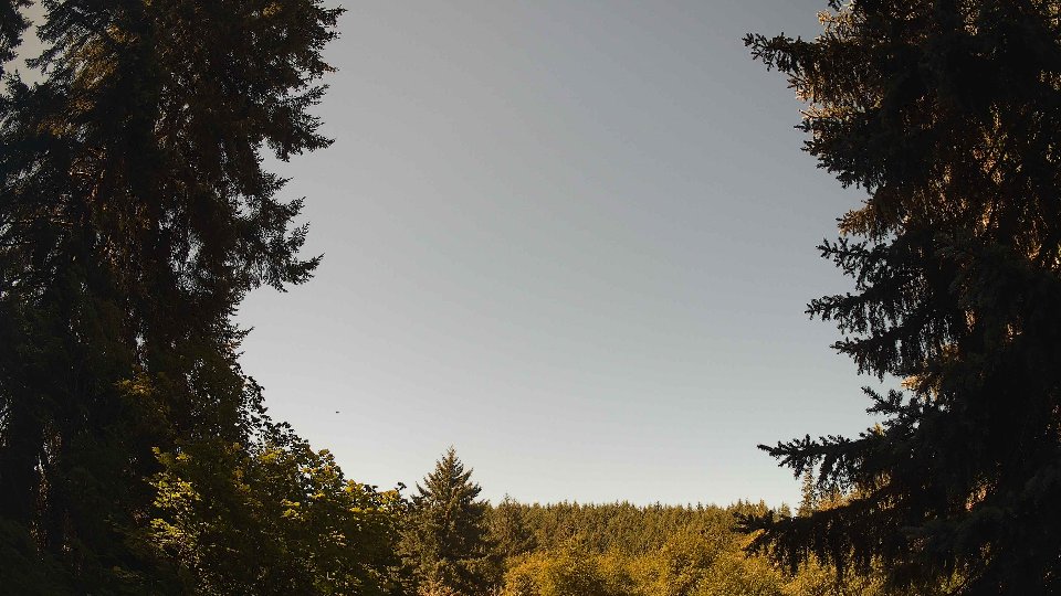 Pacific Northwest skyline timelapse frame from Aug 11th, 2026 at 11:30 AM