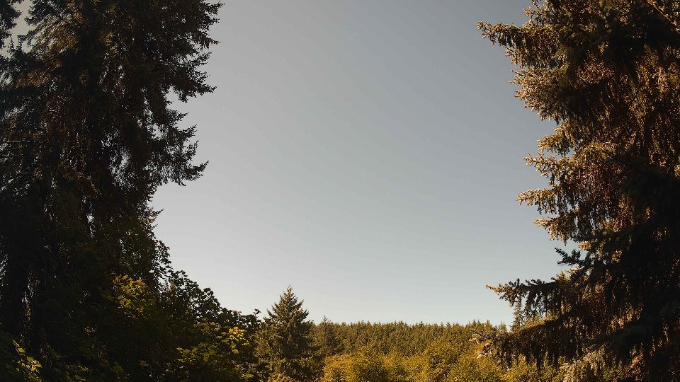 Pacific Northwest skyline timelapse frame from Aug 11th, 2026 at 11:45 AM
