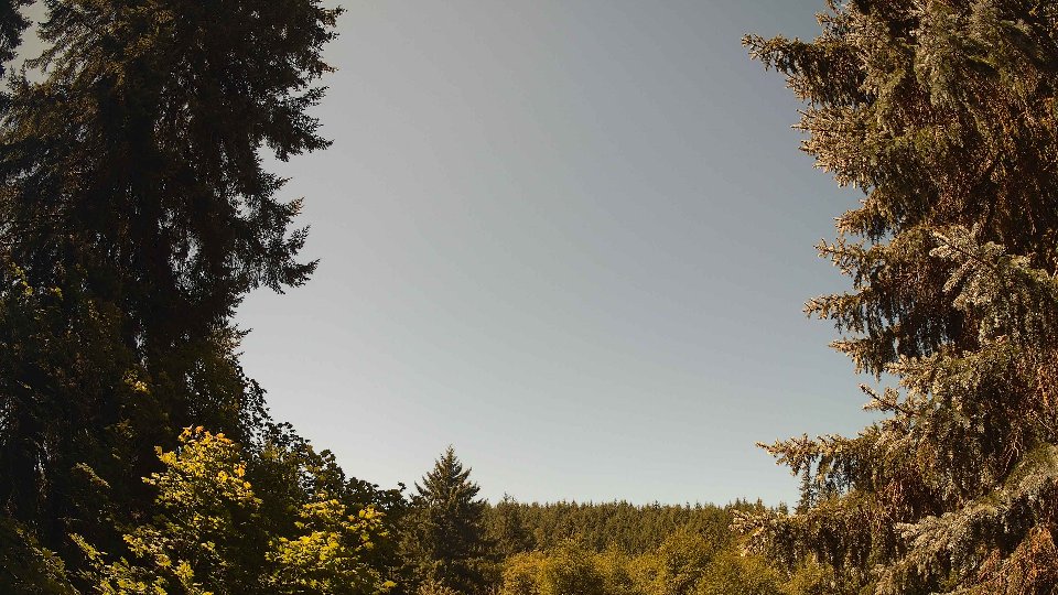 Pacific Northwest skyline timelapse frame from Aug 11th, 2026 at 12:15 PM