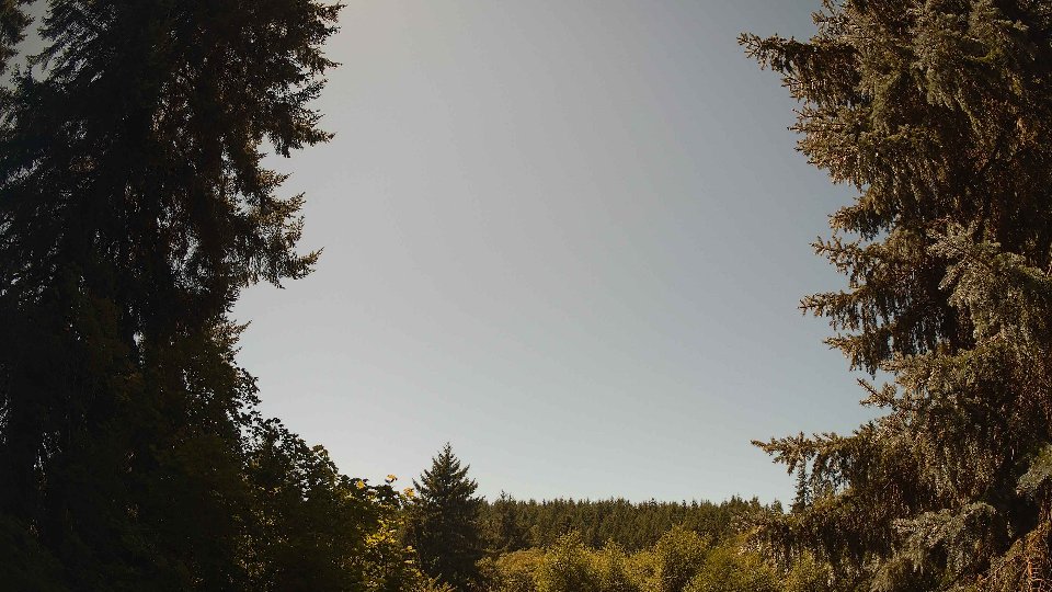 Pacific Northwest skyline timelapse frame from Aug 11th, 2026 at 1:45 PM