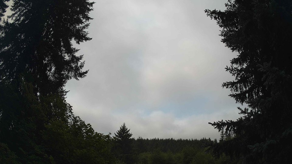 Pacific Northwest skyline timelapse frame from Aug 13th, 2026 at 11:15 AM