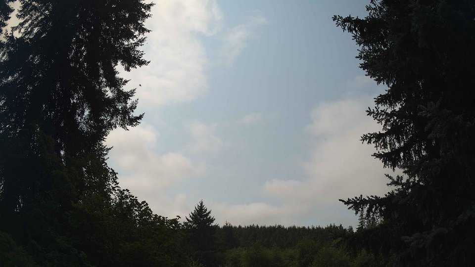 Pacific Northwest skyline timelapse frame from Aug 13th, 2026 at 11:45 AM
