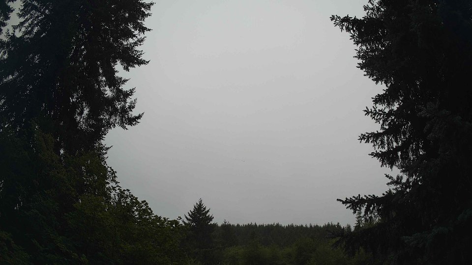 Pacific Northwest skyline timelapse frame from Aug 14th, 2026 at 8:00 AM