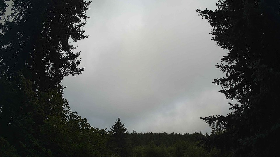Pacific Northwest skyline timelapse frame from Aug 14th, 2026 at 10:30 AM