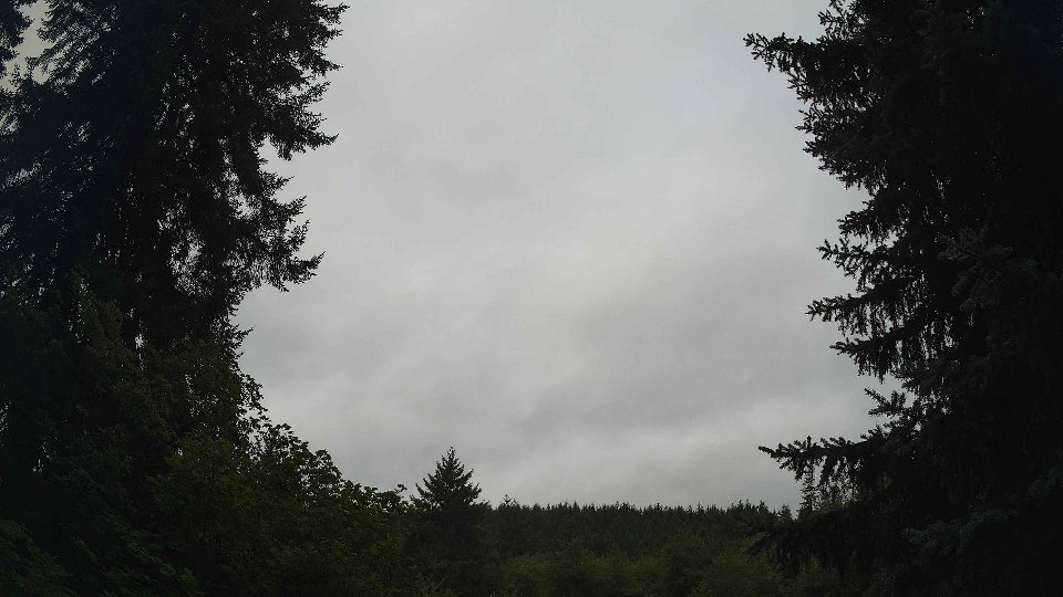 Pacific Northwest skyline timelapse frame from Aug 14th, 2026 at 11:00 AM