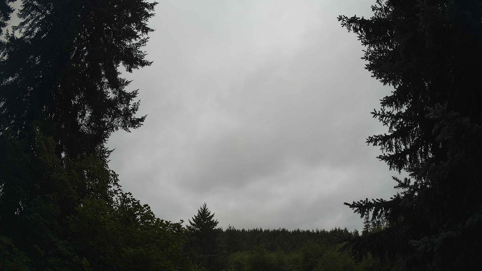 Pacific Northwest skyline timelapse frame from Aug 14th, 2026 at 11:15 AM
