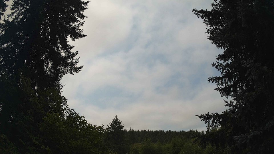 Pacific Northwest skyline timelapse frame from Aug 14th, 2026 at 12:00 PM