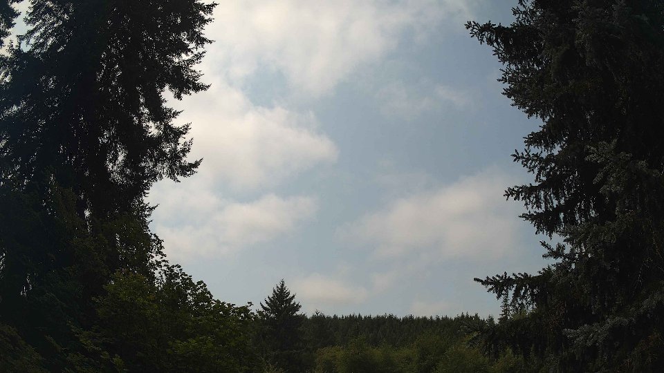 Pacific Northwest skyline timelapse frame from Aug 14th, 2026 at 12:15 PM