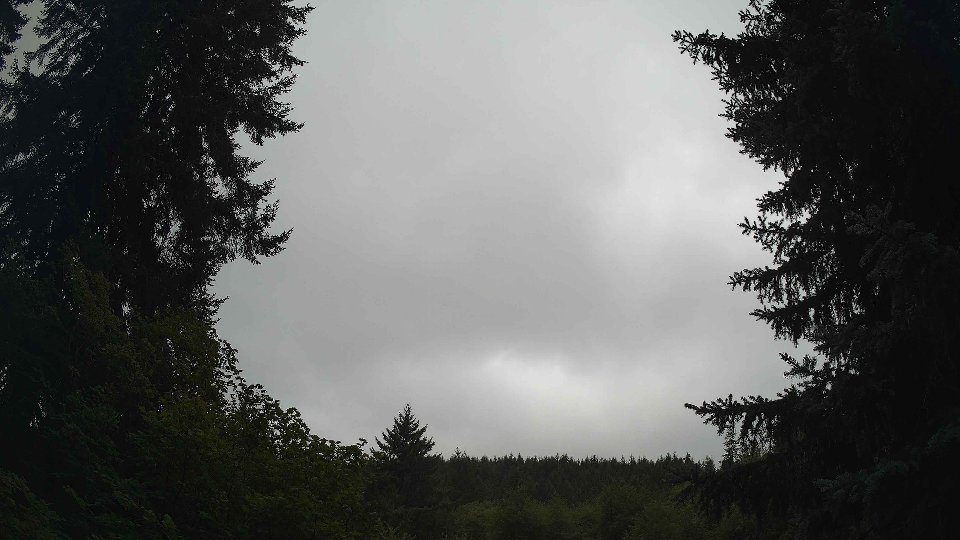 Pacific Northwest skyline timelapse frame from Aug 15th, 2026 at 10:00 AM