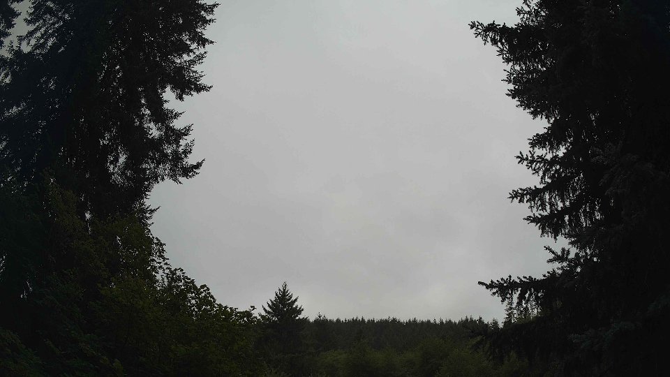 Pacific Northwest skyline timelapse frame from Aug 15th, 2026 at 11:00 AM