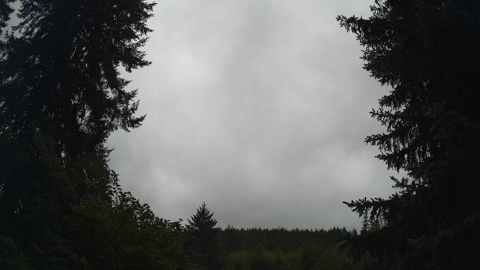 Pacific Northwest skyline timelapse frame from Aug 15th, 2026 at 12:30 PM