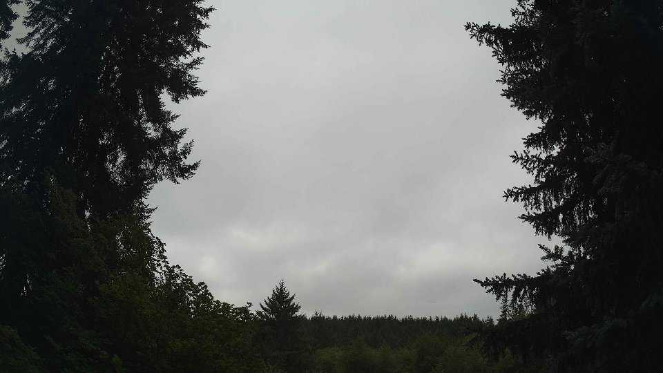 Pacific Northwest skyline timelapse frame from Aug 16th, 2026 at 11:15 AM