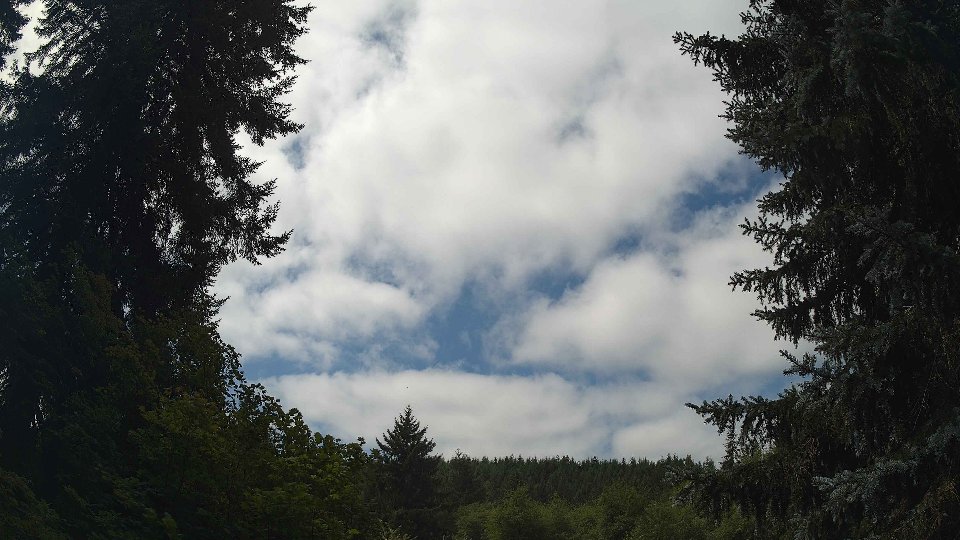 Pacific Northwest skyline timelapse frame from Aug 16th, 2026 at 12:00 PM
