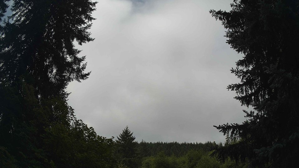 Pacific Northwest skyline timelapse frame from Aug 17th, 2026 at 11:00 AM