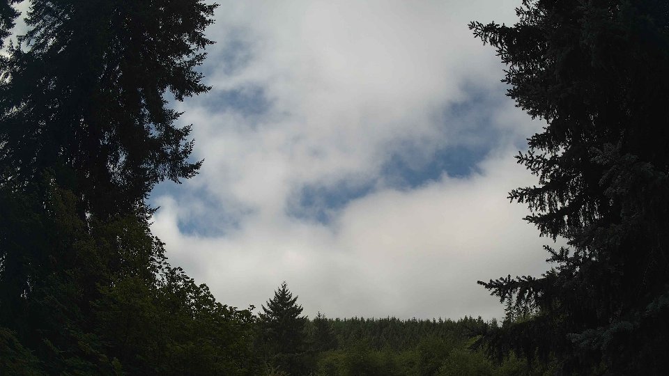 Pacific Northwest skyline timelapse frame from Aug 17th, 2026 at 11:15 AM