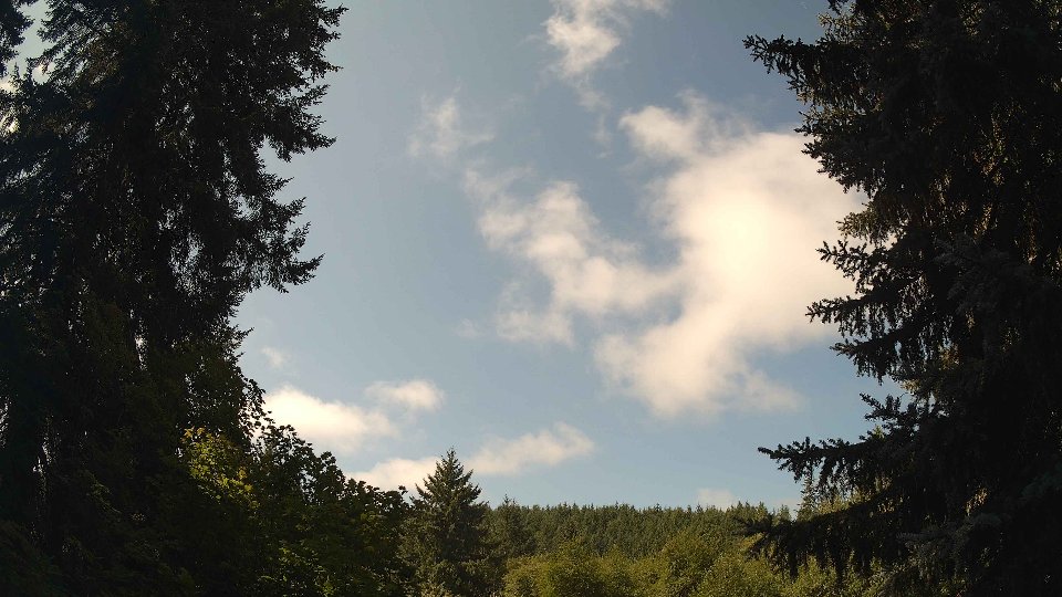 Pacific Northwest skyline timelapse frame from Aug 17th, 2026 at 11:30 AM