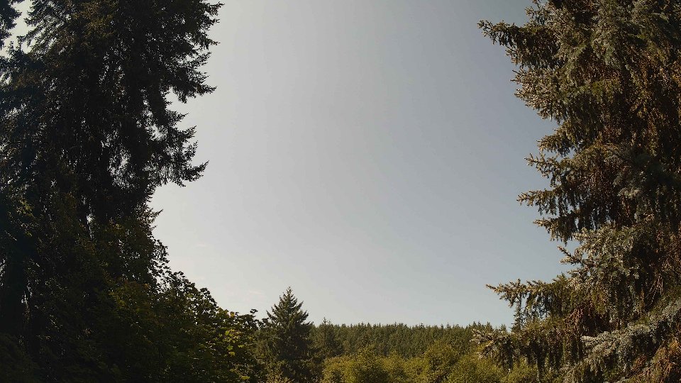 Pacific Northwest skyline timelapse frame from Aug 17th, 2026 at 12:00 PM