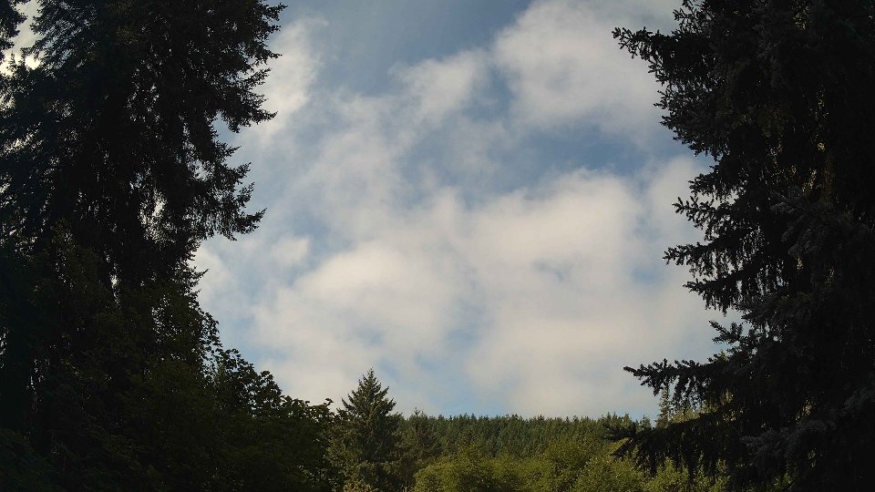 Pacific Northwest skyline timelapse frame from Aug 19th, 2026 at 11:00 AM