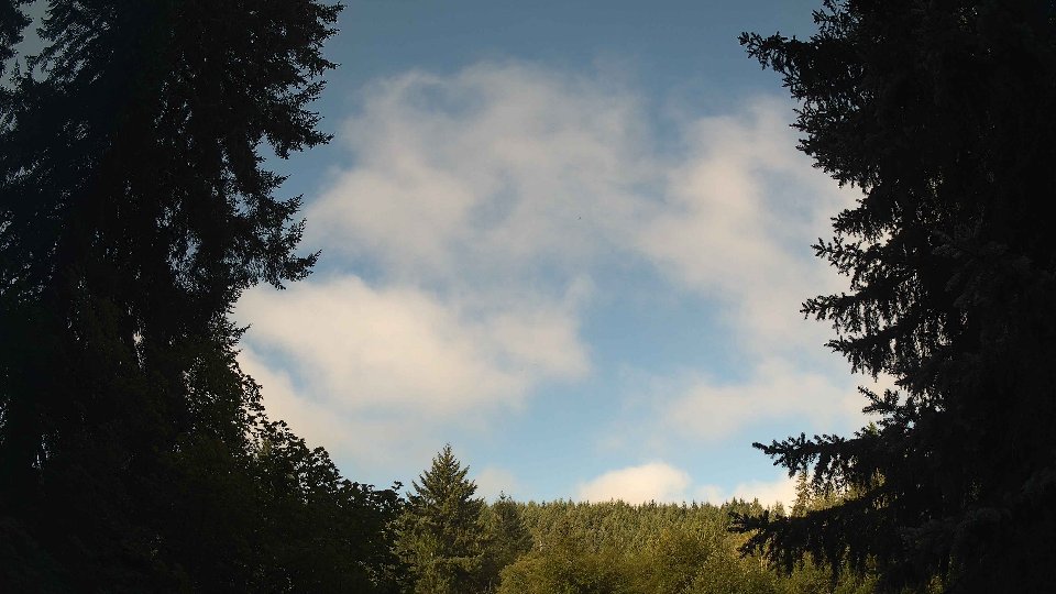 Pacific Northwest skyline timelapse frame from Aug 20th, 2026 at 9:00 AM