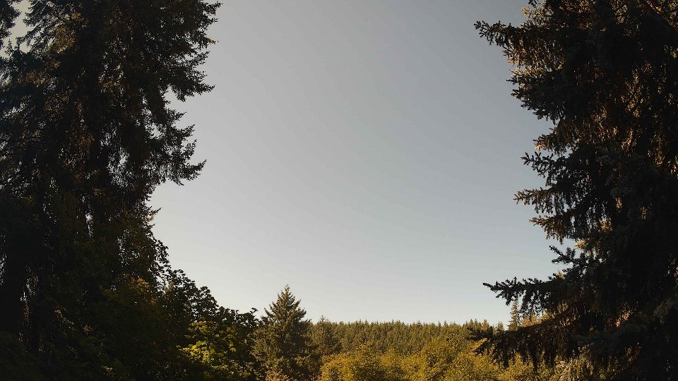 Pacific Northwest skyline timelapse frame from Aug 20th, 2026 at 11:30 AM