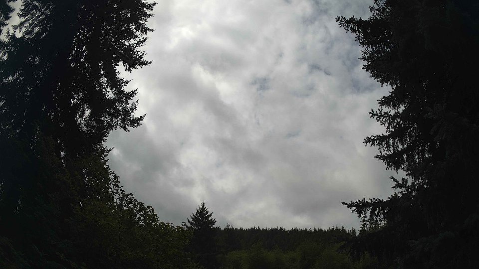 Pacific Northwest skyline timelapse frame from Aug 22nd, 2026 at 1:30 PM