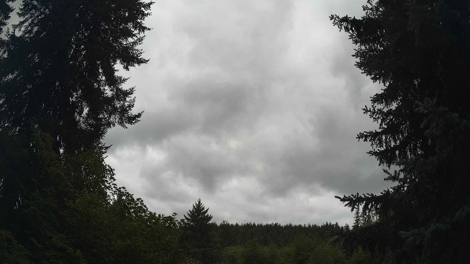 Pacific Northwest skyline timelapse frame from Aug 23rd, 2026 at 11:00 AM