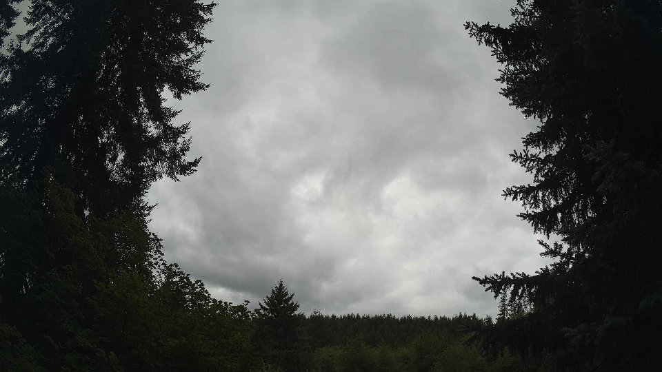 Pacific Northwest skyline timelapse frame from Aug 23rd, 2026 at 11:15 AM