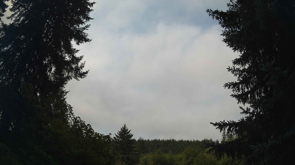 Pacific Northwest skyline timelapse frame from Aug 25th, 2026 at 11:00 AM