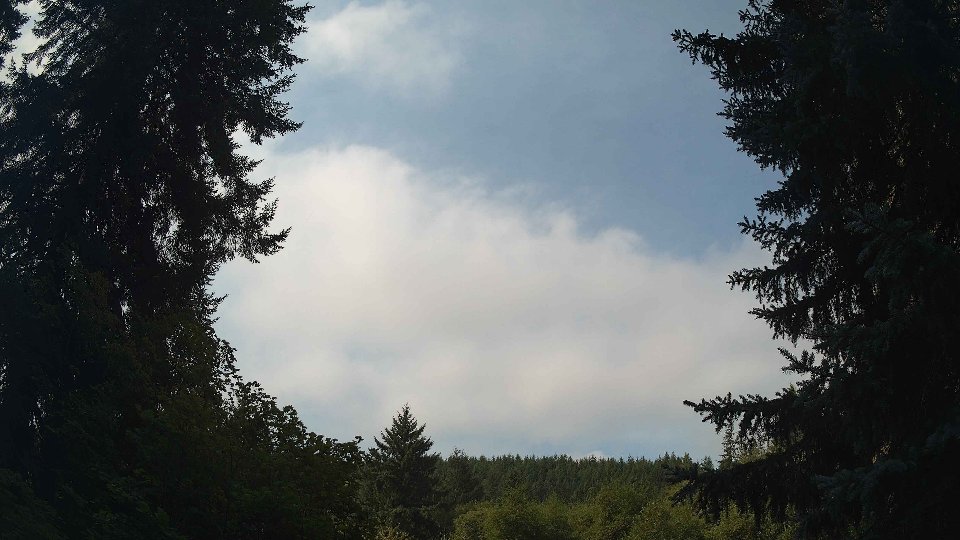 Pacific Northwest skyline timelapse frame from Aug 25th, 2026 at 11:15 AM