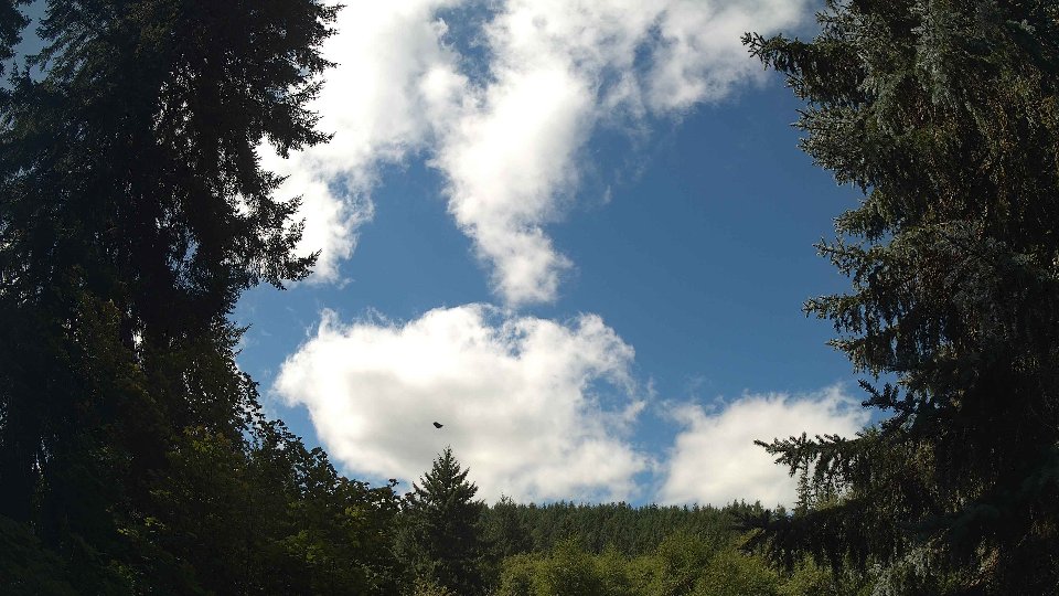 Pacific Northwest skyline timelapse frame from Aug 26th, 2026 at 12:00 PM