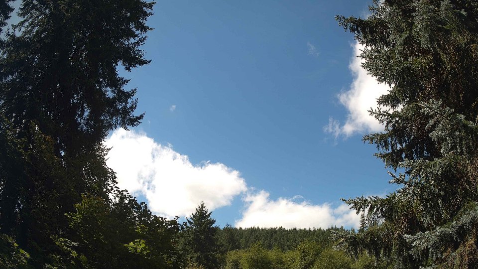 Pacific Northwest skyline timelapse frame from Aug 26th, 2026 at 12:15 PM