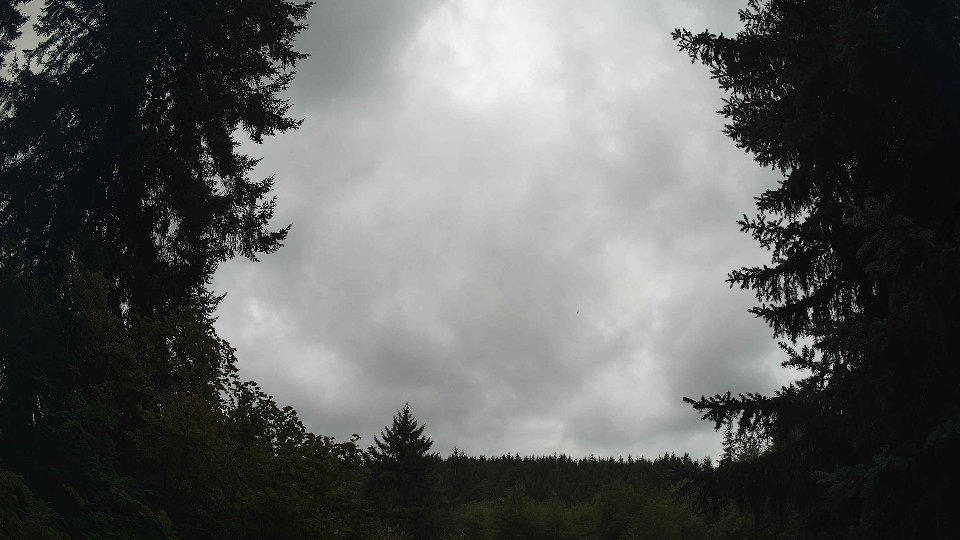 Pacific Northwest skyline timelapse on Sep 01, 2026 at 11:00 AM