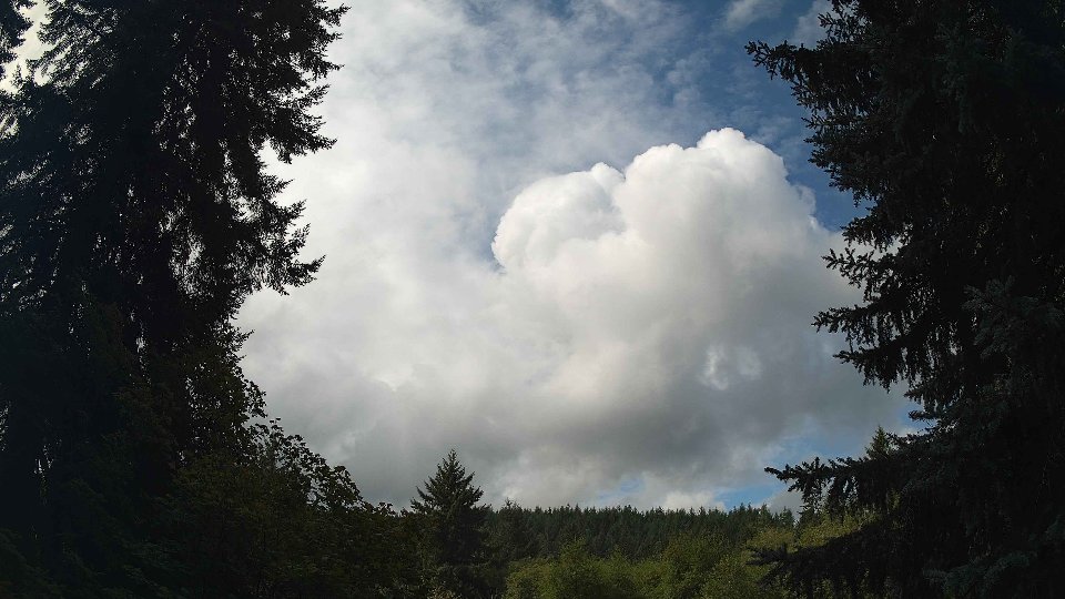 Pacific Northwest skyline timelapse on Sep 04, 2026 at 11:15 AM