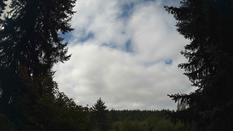 Pacific Northwest skyline timelapse on Sep 18, 2026 at 11:00 AM
