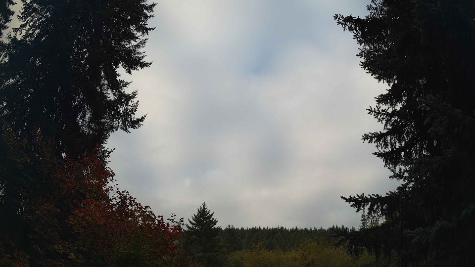 Pacific Northwest skyline timelapse on Oct 02, 2026 at 8:30 AM