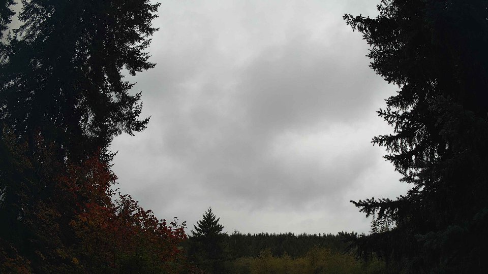 Pacific Northwest skyline timelapse on Oct 02, 2026 at 11:30 AM