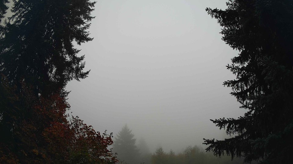 Pacific Northwest skyline timelapse on Oct 04, 2026 at 8:30 AM